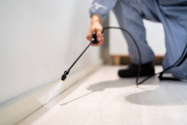 Bed Bug Pre-Treatment Preparation Assessment in Cherry Hill Mall