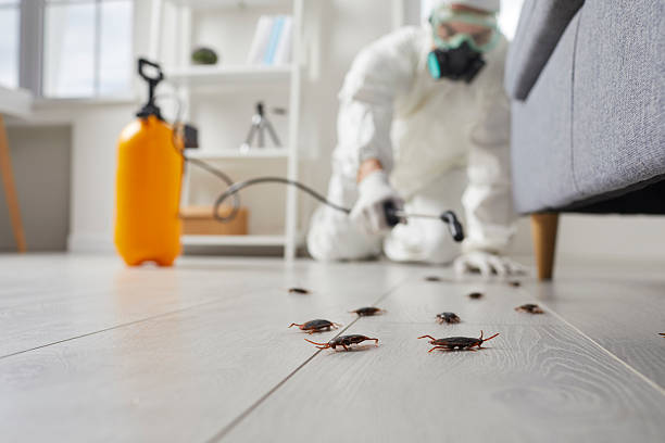 Post-Treatment Bed Bug Interceptor Monitoring in Cherry Hill Mall